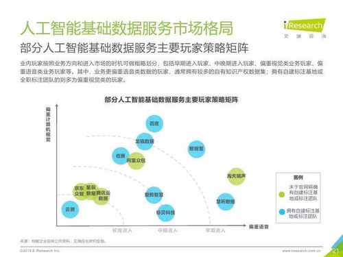中国人工智能基础数据服务行业报告 聚焦人工智能基础软件开发的核心引擎